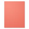 Calypso Coral Cardstock 8 1/2 x 11 by Stampin' Up!
